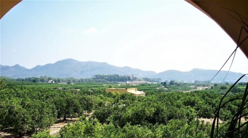 Valencia - Alfahuir - 3500m2