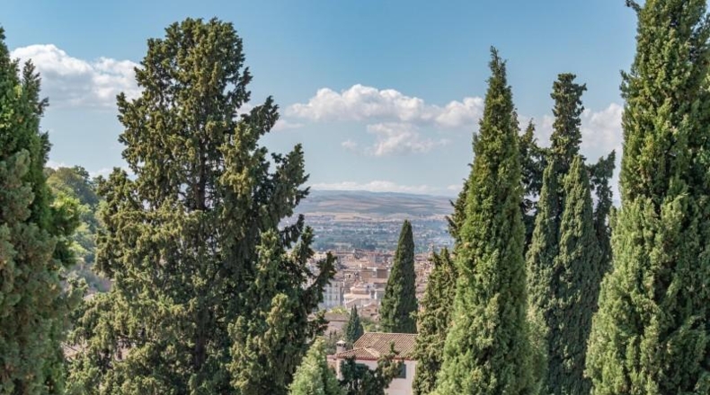 Granada - Granada - 118m2
