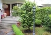 Detached villa with land for sale on España, Lugo, ref: TR314205 photo