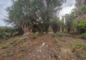 Sòl urbà en venda a la España, el Masnou, ref.: TR124549 foto
