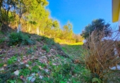 Xalet independent amb terreny en venda a la España, Zalla, ref.: TR375087 foto