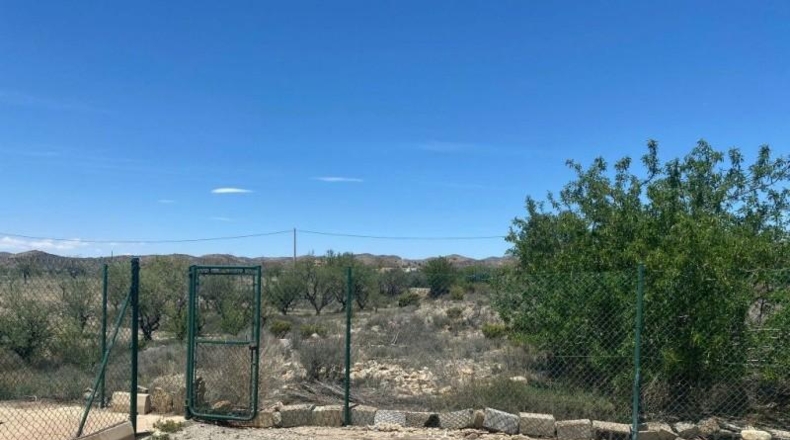 Almeria - Huércal-Overa - 20000m2