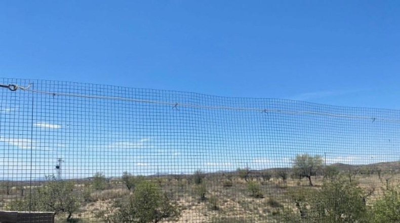 Almeria - Huércal-Overa - 20000m2