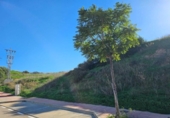 Sòl urbà en venda a la España, Estepona, ref.: TR354988 foto