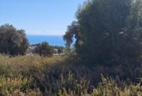 Campo-Mijas 899&nbsp;m²