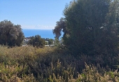 Suelo urbano en venta en la España, Campo-Mijas, ref: TR361577 foto