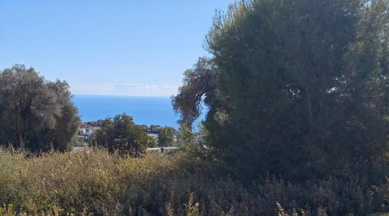 Malaga - Mijas - 899m2