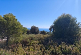 Campo-Mijas 899&nbsp;m²
