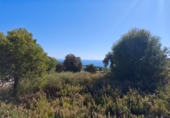 Suelo urbano en venta en la España, Campo-Mijas, ref: TR361577 foto