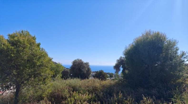 Malaga - Mijas - 899m2