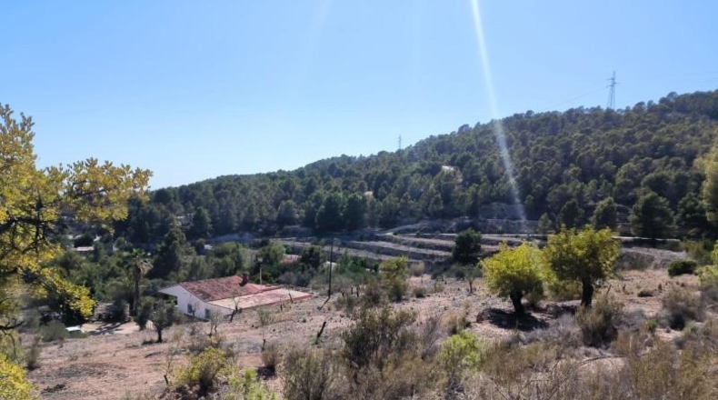 Alicante - Finestrat - 30000m2