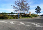 Sòl urbà en venda a la España, Munguía, ref.: TR117773 foto