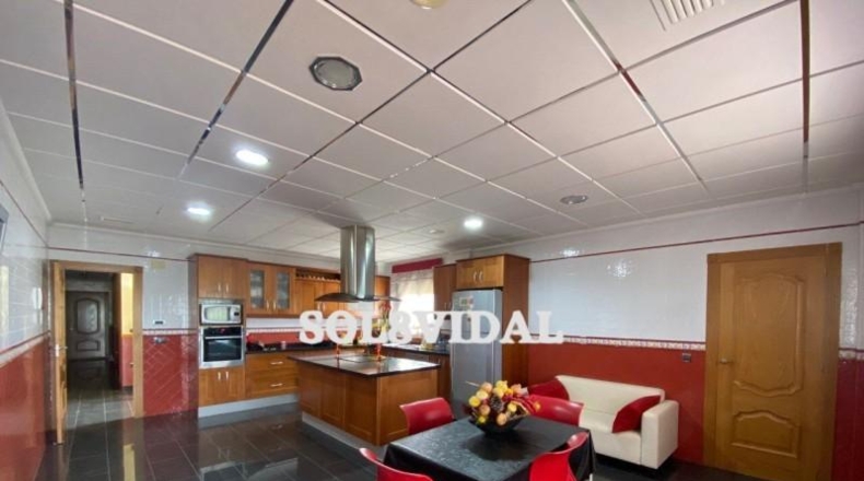 Alicante - Orihuela - 3600m2