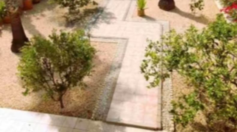 Alicante - Сан-Висенте-дель-Распейг - 1500m2