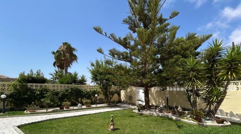 Alicante - Torrevella - 600m2