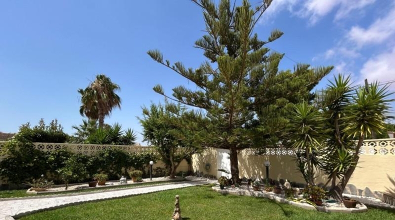 Alicante - Torrevella - 600m2