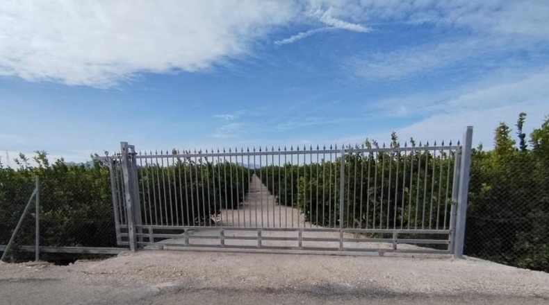 Alicante - Albatera - 40000m2