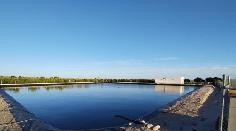 Alicante - Albatera - 40000m2