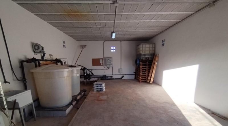 Alicante - Albatera - 40000m2