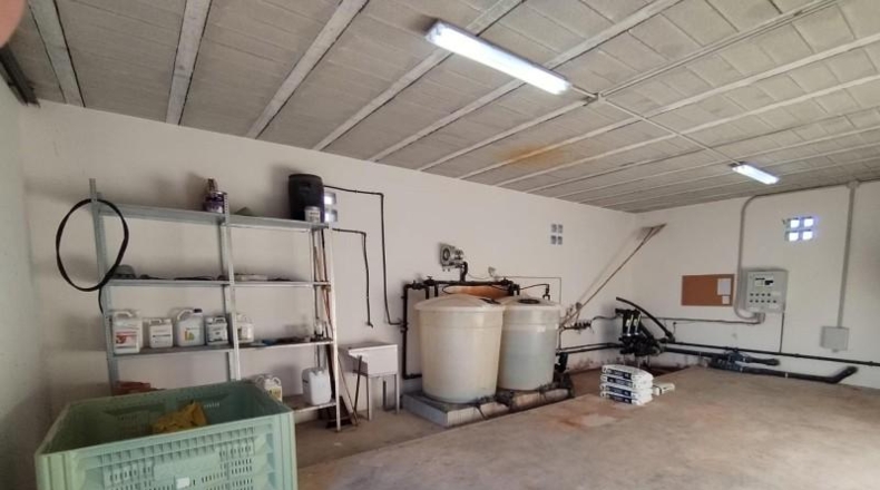 Alicante - Albatera - 40000m2