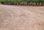 Земельный участок на продажу в городе Lorca Фото