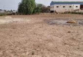 Земельный участок на продажу в городе Lorca Фото