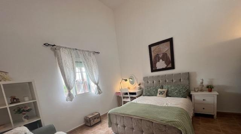 Alicante - Dolores - 6300m2