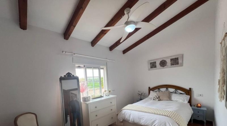 Alicante - Dolores - 6300m2