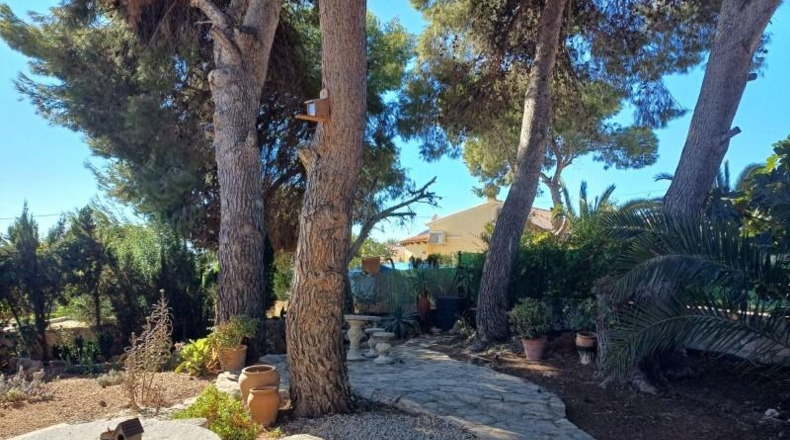 Alicante - Calpe - 821m2