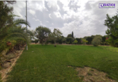 Xalet independent amb terreny en venda a la España, Saix, ref.: TR140123 foto