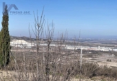 Xalet independent amb terreny en venda a la España, La Muela, ref.: TR388571 foto