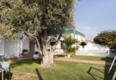 Xalet independent amb terreny en venda a la España, Sanlúcar de Barrameda, ref.: TR359736 foto