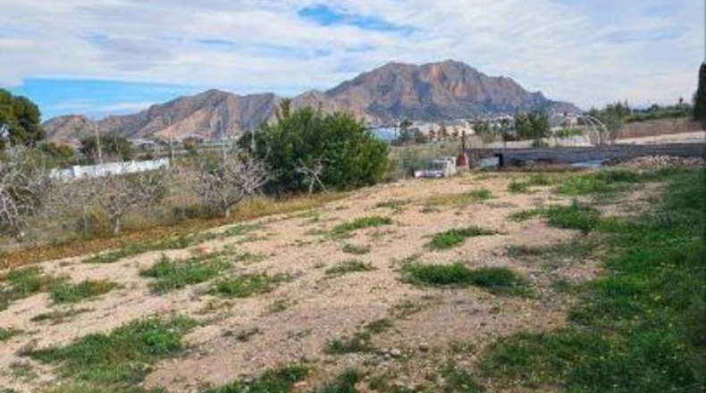 Alicante - Oriola - 1600m2