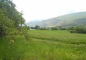 Sòl urbà en venda a la España, Arfa, ref.: TR127878 foto