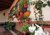Casa de camp amb terreny en venda a la España, Priego de Córdoba, ref.: TR282780 foto