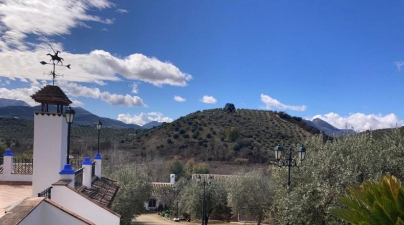 Cordova - Priego de Córdoba - 295m2