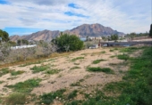 Chalet independiente con terreno en venta en la España, Orihuela, ref: TR220210 foto