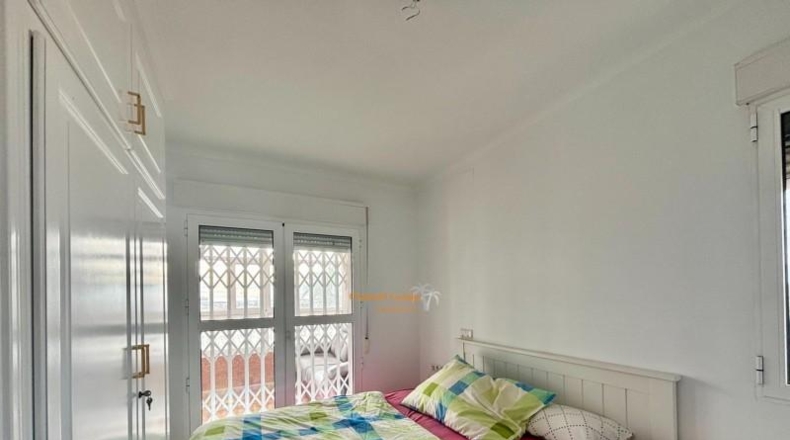 Alicante - Rojals - 502m2