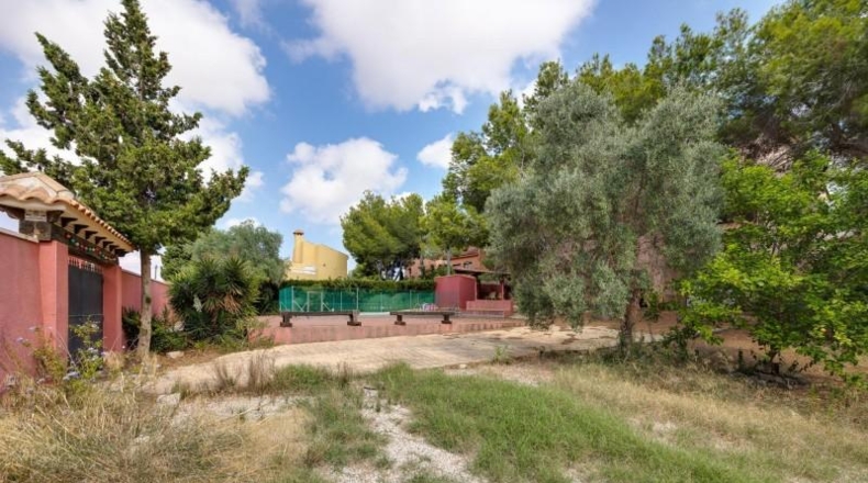 Alicante - San Miguel de Salinas - 1600m2