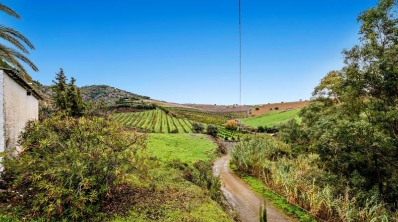Málaga - Casarabonela - 9800m2