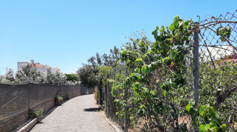 Las Palmas - Ingenio - 1600m2