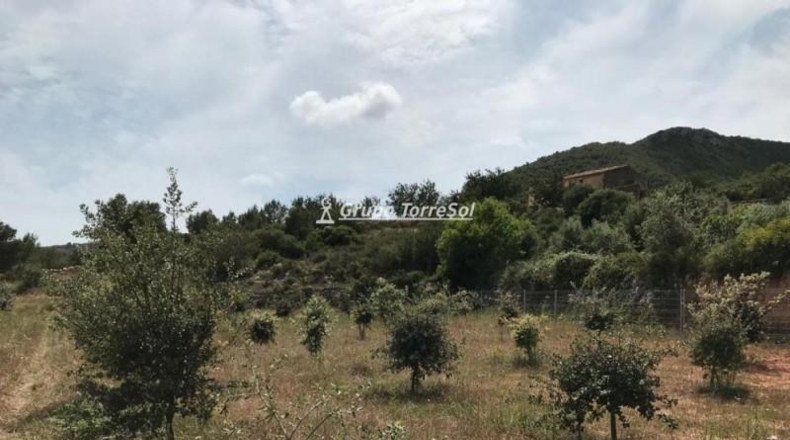 Tarragona - Albinyana - 190000m2
