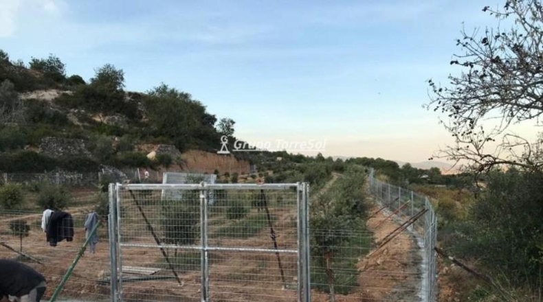 Tarragona - Albinyana - 190000m2