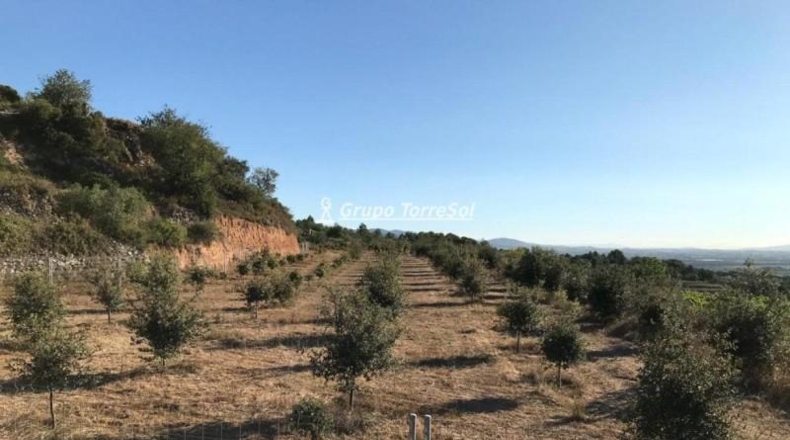 Tarragona - Albinyana - 190000m2