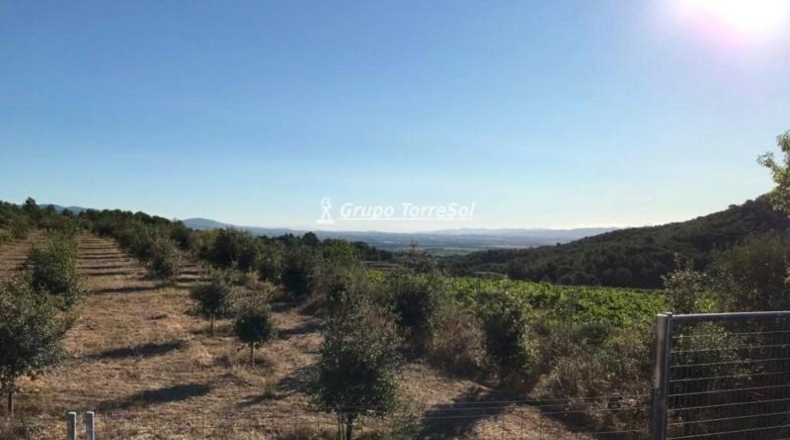 Tarragona - Albinyana - 190000m2