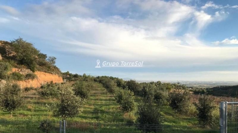 Tarragona - Albinyana - 190000m2