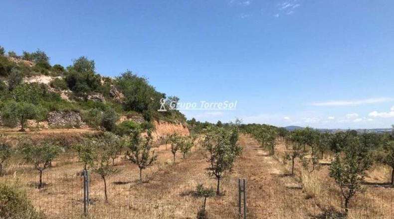 Tarragona - Albinyana - 190000m2