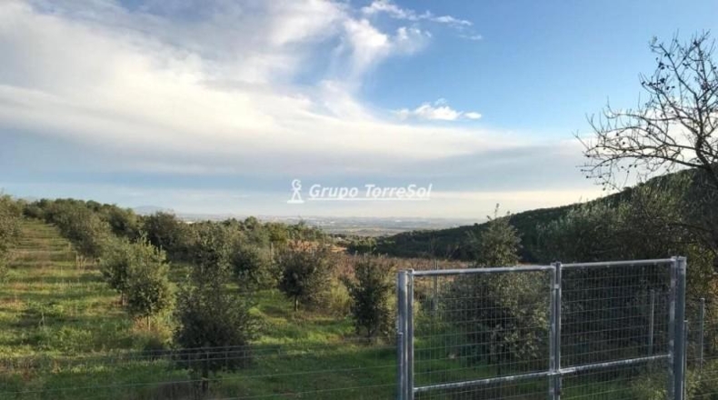 Tarragona - Albinyana - 190000m2