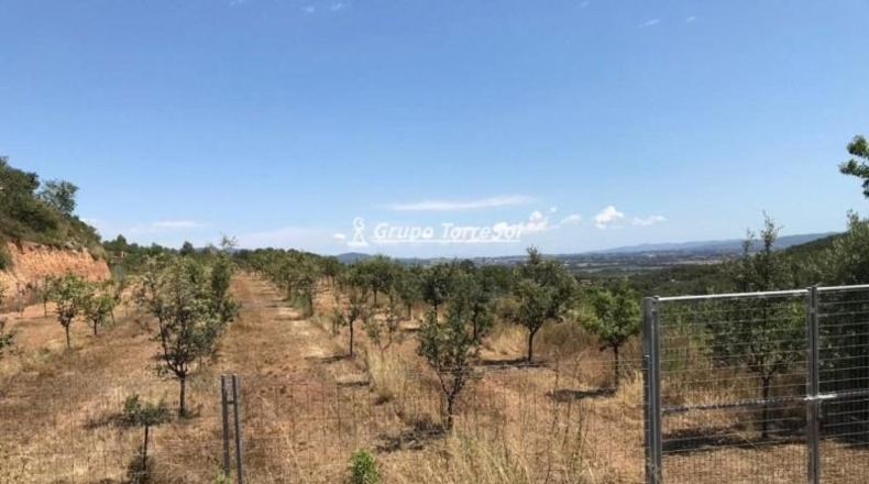 Tarragona - Albinyana - 190000m2