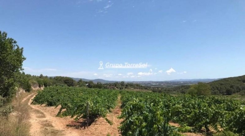 Tarragona - Albinyana - 190000m2